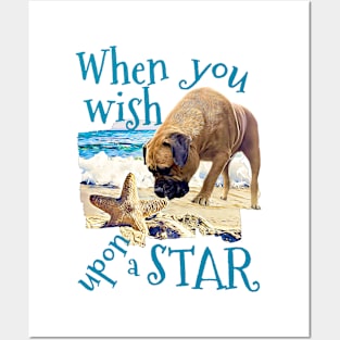 Wish upon a STAR Posters and Art